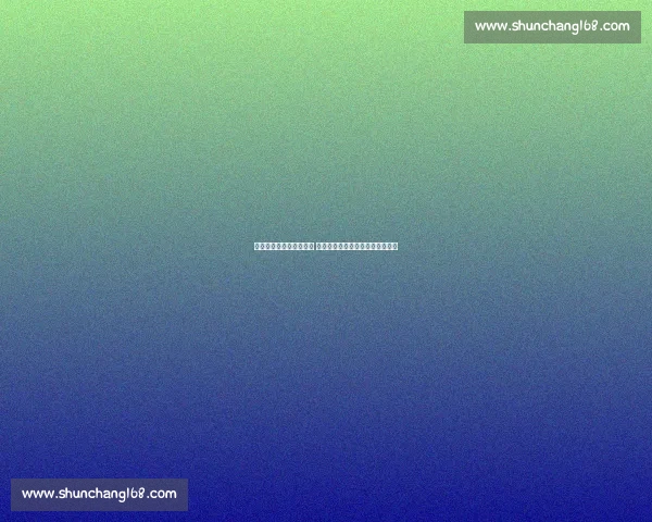 公牛队与黄蜂队激战正酣 球迷热议两队精彩表现与未来展望