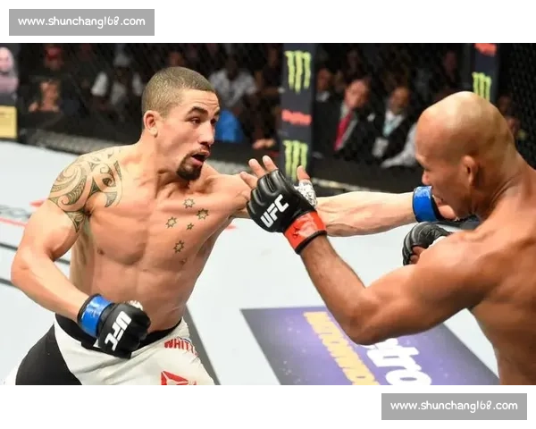 比斯平vs巅峰对决回顾一代冠军的荣耀与争议之战综合格斗史上 比斯平vs巅峰对决回顾一代冠军的荣耀与争议之战综合格斗史上